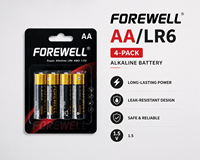 Pile alcaline LR6 AA 1,5 V longue durée, capacité 2700 mAh, pour jouets et télécommandes, OEM, marque privée, fourniture sur mesure