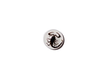 Cabujón de Plástico con Espécimen Real de Escorpión Negro, Redondo de 13x13 mm, Base Plana Blanca para Manualidades y Joyería - Product Image 2