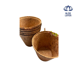 Macetas de Fibra de Coco Blue Lotus Dylan Vu, Biodegradables, Ecológicas, Duraderas, para Jardín, Diseño Cuadrado, Sin Recubrimiento - Product Image 1