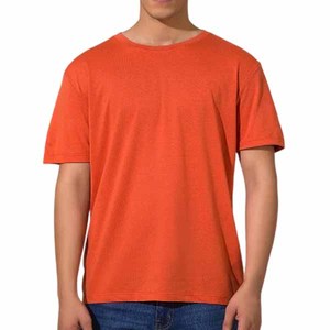 T-shirts personnalisés de haute qualité à épaules tombantes, 100 % coton, style streetwear pour hommes, t-shirts vierges en maille épaisse et unie pour hommes - Product Image 5