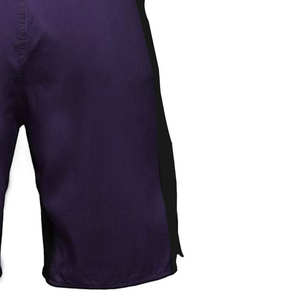 Short de Muay Thai personnalisé avec logo d'équipe, tissu performant durable, sublimation, MMA, grappling, combat - Product Image 2