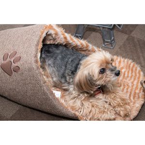 Alla moda lettino per cani comodi letti per animali domestici per cuccioli e cani adulti - Product Image 3