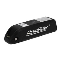 Batterie de vélo électrique au lithium-ion Hailong Series DC-DSJB 36V 48V 52V pour tube diagonal, 15Ah 20Ah 24Ah, livraison gratuite, garantie 1 an