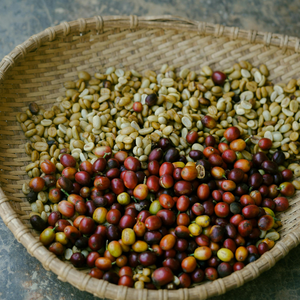 Vietnam S18 Arabica coffee beans <b>clean</b> <b>green</b> dry processing unroasted wholesale direct from farm OEM/ODM Custom packaging - Product Image 3