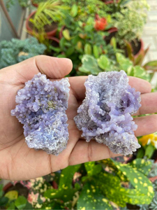 Carved Raw Druzy Grape Agate <b>Cluster</b> Set of 2 | Natural Purple Botryoidal <b>Crystal</b> Specimens for Display & Collector Collections - Product Image 2