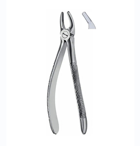 คีมถอนฟันแบบอังกฤษ รุ่นที่ 7 ทำจากสแตนเลส สำหรับการผ่าตัดช่องปาก - Product Image 1