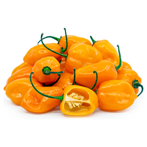 Pimientos habaneros frescos de granja, variedades verde, roja y naranja, envasados a granel para importadores globales de productos frescos. - Product Image 1