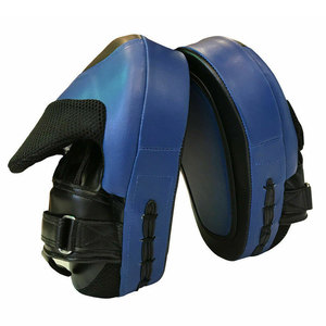 Mitaines d'entraînement professionnelles pour l'arts martiaux, conçues pour les entraîneurs, pour le développement des compétences, les exercices de pads et l'entraînement physique. - Product Image 1