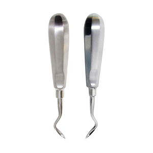 Équipements dentaires réutilisables : Élévateur dentaire à ailettes de 6 mm pour extraction dentaire, nettoyage et obturation des dents - Product Image 2