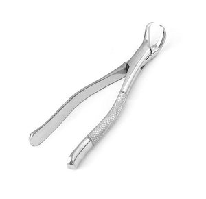 Forceps d'extraction dentaire en acier inoxydable pour molaires inférieures, pinces chirurgicales pour odontologie - Product Image 3