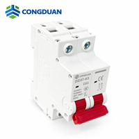 Disjoncteur miniature 2P DZ47 63A 230/400V 6kA pour la protection contre les surcharges et les courts-circuits