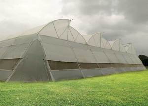 ฟิล์มพลาสติกคุณภาพสูงสำหรับโรงเรือนไฮโดรโพนิกและโรงเรือนอุโมงค์เพื่อการชลประทานทางการเกษตรและสวน - Product Image 5