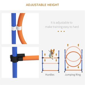 Équipement d'entraînement d'agilité pour chiens - Product Image 4