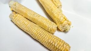 Briquetas de Maíz Premium, Venta Directa de Fábrica, Alto Valor Calorífico, Combustión Limpia, Enfriamiento, Calefacción, Ahorro de Energía, Biomasa - Product Image 6