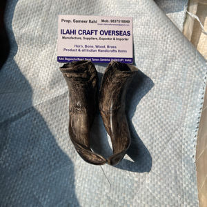 Par de Cuernos de Cabra Naturales con Acabado Natural para Decoración y Manualidades de Alta Calidad - Product Image 1