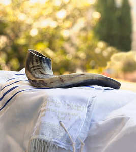 Auténtico CUERNO DE Shofar hecho a mano de Israel tallado estilo Ángel tradicional acabado medio pulido para colección de uso ceremonial - Product Image 2