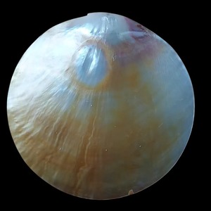 <b>Top</b> Selling Mother of <b>Pearl</b> Shell Bowl Handmade Luxury Tabletop Bowl for Serving Decoration Display and Gifting for Sale - Product Image 3
