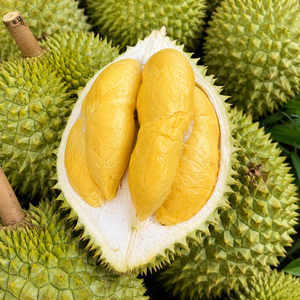 DURIAN CONGELADO DE LA MEJOR CALIDAD EN VENTA//FRUTA DURIAN CONGELADA A BAJO PRECIO// SRA. ALINA - Product Image 5