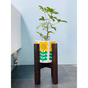 Pot de fleurs en céramique avec support en bois pour plantes d'intérieur/d'extérieur SPT4 - Product Image 1