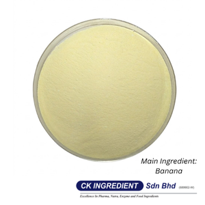 Polvo de Jugo de Plátano de Primera Calidad, Garantía del Mejor Proveedor, Halal, OEM, B2B, Saborizante Natural para Repostería y Smoothies - Product Image 6