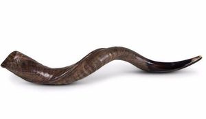 Cuerno de Shofar Natural Hecho a Mano, Instrumento Tradicional de Cuerno de Carnero para Ceremonias Religiosas Judías, Adoración, Oración y Espiritualidad - Product Image 4
