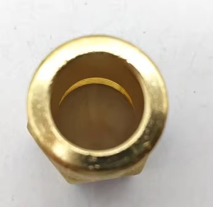 Raccord de plomberie à écrou évasé long, en fonte, pour basse pression, surface polie, filetage NPT/BSPT - Product Image 6