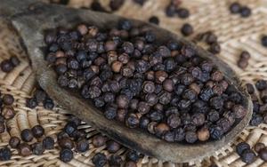 พริกไทยดำเวียดนามราคาถูก พริกไทยดำบดละเอียด 550 กรัม พริกไทยบดคุณภาพพรีเมียม สำหรับปรุงรสเนื้อสเต็ก - Product Image 4