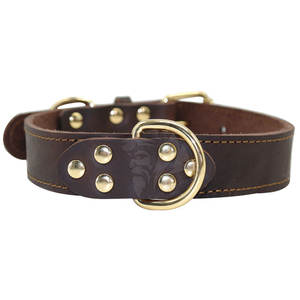 Correa y Collar Resistentes para Perro con Costuras Reforzadas y Uso Confiable, Collar y Correa Cómodos para Perro con Diseño Ligero - Product Image 4