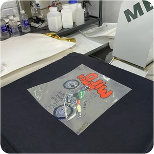 Ys Tùy Chỉnh 300 + Thiết Kế Mát Cô Gái Mô Hình Trên Quần Áo Áo Sơ Mi Màn Hình In Chuyển Nhiệt Dtf - Product Image 5