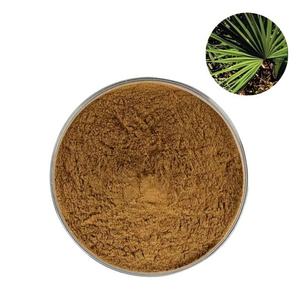 Premium Quality 100% Natural <b>Saw</b> Palmetto Powder Herbal Food Grade Serenoa Repens Powder Export Quality Bulk Supplier from India - Product Image 3