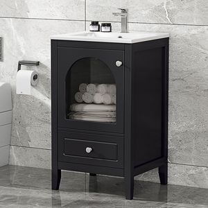 20\" <b>Bathroom</b> <b>Vanity</b> with Soft-Closing Glass Door and Drawer Elegant <b>Vanity</b> Cabinet for <b>Bathrooms</b> - Product Image 1