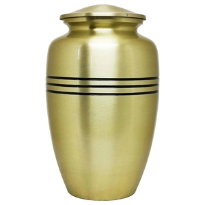 Elegante Urna Conmemorativa de Metal Plateado para Cenizas de Mascotas y Humanos, Suministros Funerarios al por Mayor - Urna Plateada Moderna Minimalista con Acabado Cepillado - Product Image 2