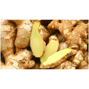 Vendemos jengibre 100% puro y fresco / jengibre seco / extracto de jengibre en polvo al mejor precio. Jengibre seco fresco de calidad al por mayor. - Product Image 3