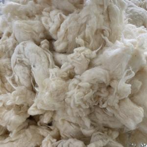 Algodón Combernoil Clean, marca Nithya, cantidad mínima 23 toneladas +/- 10, alta calidad. Contacte a la Sra. Kate +84387097963 - Product Image 3