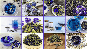 ผงดอกบัวหลวงพรีเมียม คุณภาพอาหารเกรดธรรมชาติ ผลิตภัณฑ์เกษตรเวียดนาม บรรจุภัณฑ์แบบถัง ราคาสุดคุ้ม - Product Image 4