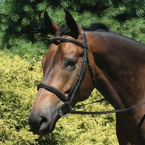 Horse Racing Bridle DD <b>Harness</b> Equestrian <b>Leather</b> S.S Hardware Soft <b>Leather</b> Padding Customizable Halters - Product Image 6