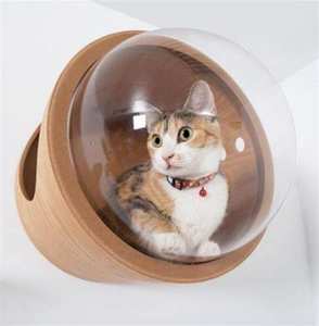 Refugio para gatos moderno con elegante cúpula acrílica y pared de madera-Retiro fijo innovador y funcional para amigos felinos - Product Image 1