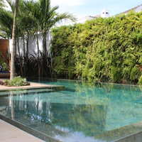 Baldosas de Piedra Arenisca Natural de Indonesia, Modelo Zeolite SGSC1418 para Áreas Exteriores y Piscinas