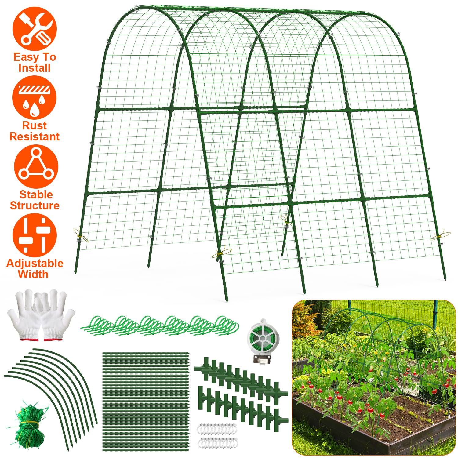 ตามรูป สี