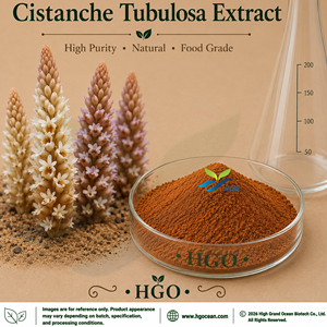 Approvisionnement direct de l'usine HGO en extrait naturel pur de Cistanche Tubulosa (qualité alimentaire) spécification 10:1 (extrait de rapport) - Product Image 1