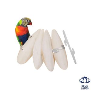 BEST SELLER Os de Seiche Écologique Pur Premium, Supplément Minéral pour Oiseaux Riche en Calcium, Meilleure Vente, Prix de Gros - Product Image 1