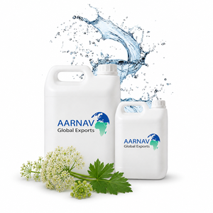 Aarnav Global Exports - Hidrosol de Angelica Archangelica 100% Puro, Extracto Líquido de Grado Cosmético, Destilado al Vapor - Product Image 1