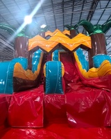 Tobogán Acuático Inflable Comercial de PVC Resistente Personalizado para Niños y Adultos para Exteriores