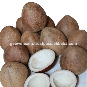 COCO SECO INDIA - Product Image 2