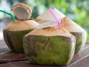 Fabricante de Agua de Coco Orgánica Congelada al por Mayor - Product Image 6