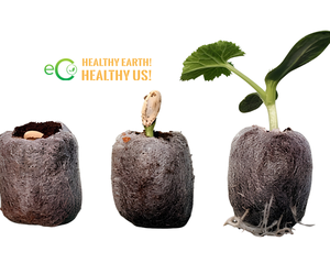Pellets de Turba de Coco Eco2go Vietnam para una Fácil Propagación de Plantas, Germinación Consistente de Semillas y Crecimiento Saludable de Plántulas - Product Image 6