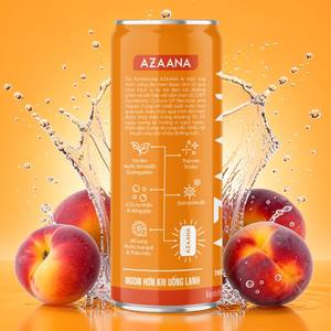 Kombucha de Durazno y Albaricoque, Bebida de Té Fermentado, Bebida Artesanal Dulce Lista para Beber, Suministro al por Mayor OEM - Product Image 4