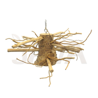 Perchoir pour oiseaux en racine de bambou de haute qualité, écologique, durable, provenant d'Indonésie, taille S