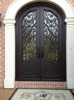 Portes intérieures décoratives très demandées avec fer forgé et verre, ouverture manuelle, idéales pour les marchés résidentiels de luxe