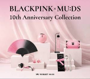 Light Stick Oficial de BLACKPINK Heritage, Libro Electrónico (CD) de Música K-Pop, en Papel, Coreano, para Todas las Edades - Product Image 1
